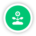 program icon 2