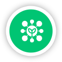 program icon 3