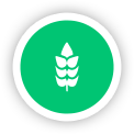 program icon 4